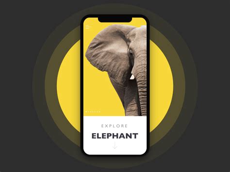 Interaction Design Examples 的图像结果