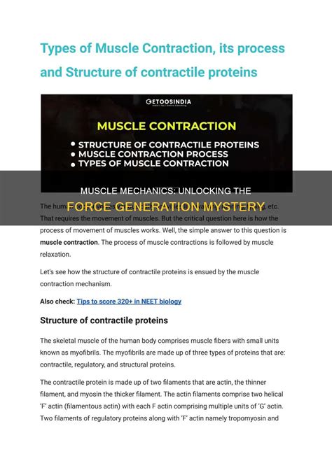 Image result for What Is Muscle Architecture Force Generation