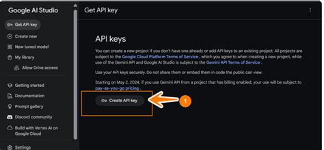 Create API Key 的图像结果