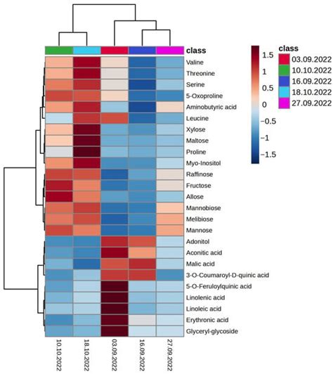 Metabolomic Profile and Functional State of Oat Plants (Avena sativa L ...