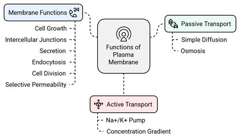 Cell: The Unit of Life Chapter Notes - Biology Class 11 - NEET PDF Download