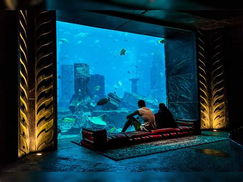 5 amazing underwater hotels: Niyama Private Island Maldives, The Manta ...