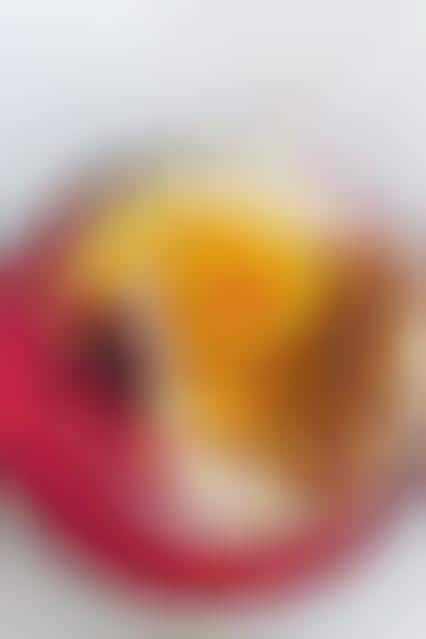 Speedy Flapjack Breakfasts : microwave pancake