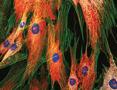 Image result for Science Article Examples