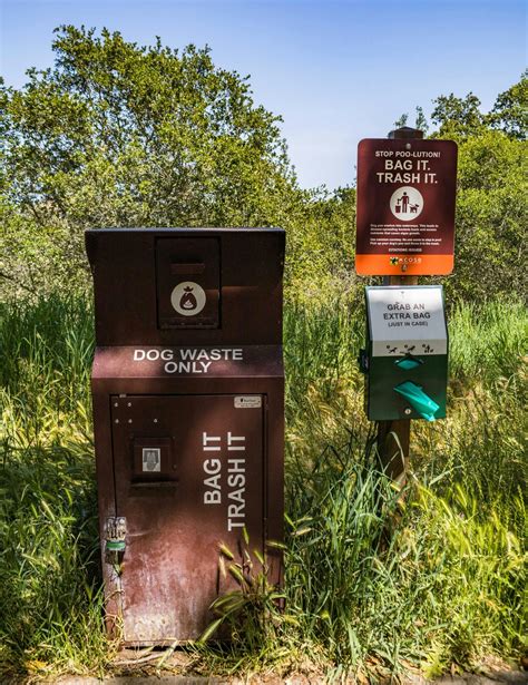 Pick Up Pet Poop to Prevent Pollution - San Bernardino County ...