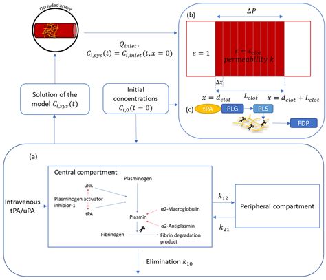 In Silico Study of Different Thrombolytic Agents for Fibrinolysis in Acute Ischemic Stroke