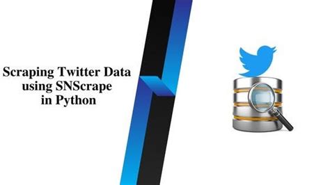 How to Extract Twitter Data Using Python 的图像结果