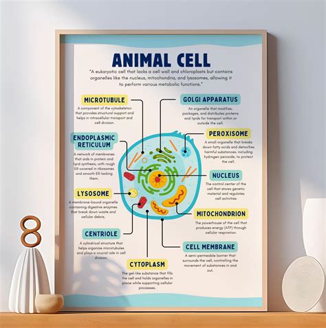 Image result for Basic Cell Structure Poster