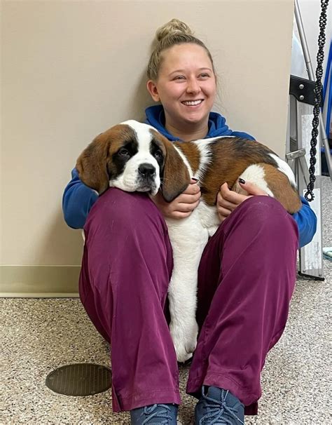 Courtney | Swan Creek Veterinary Clinic