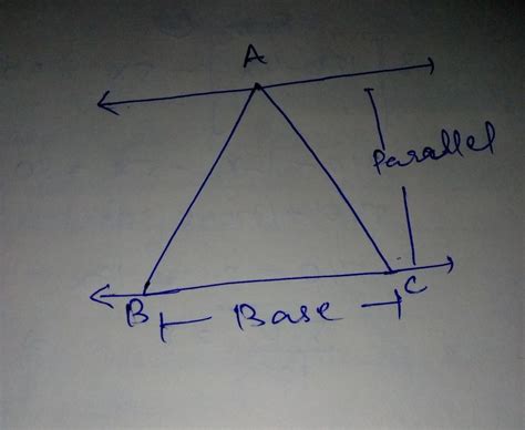 draw any triangle ABC when BC is the Base and A is the vertex. draw a ...