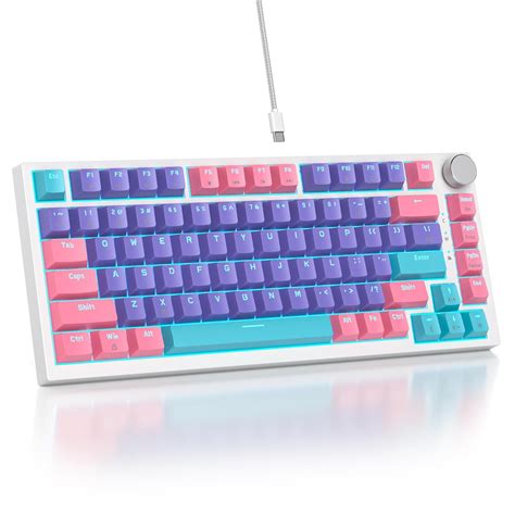 Amazon.in: Buy Mosptnspg 75% TKL Wired Mechanical Keyboard,RGB Backlit ...