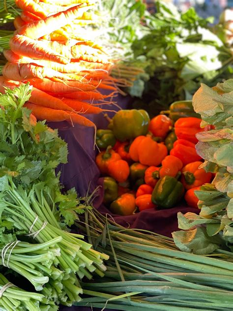 Obituaries In Cookeville - Tennessee - It is with deep sorrow that we ...