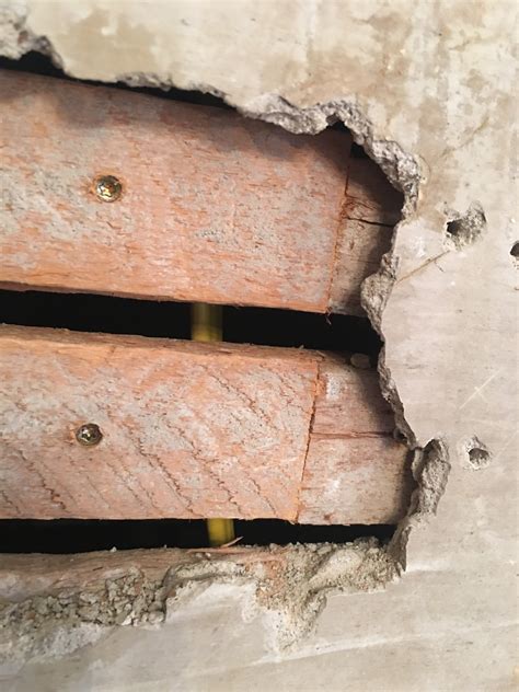 Fixing Plaster Walls 的图像结果