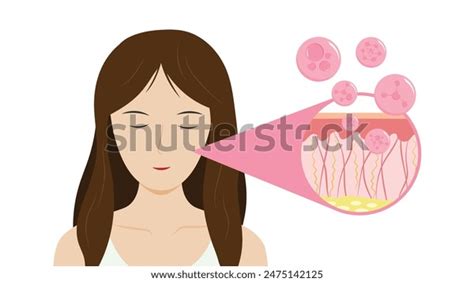Image result for Aging Process Animation