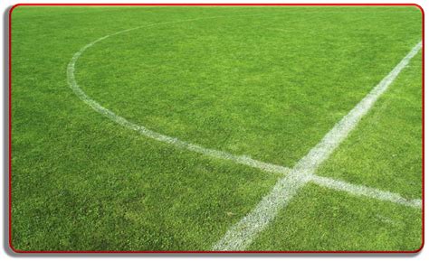 Sportsfield Clip Art 的图像结果