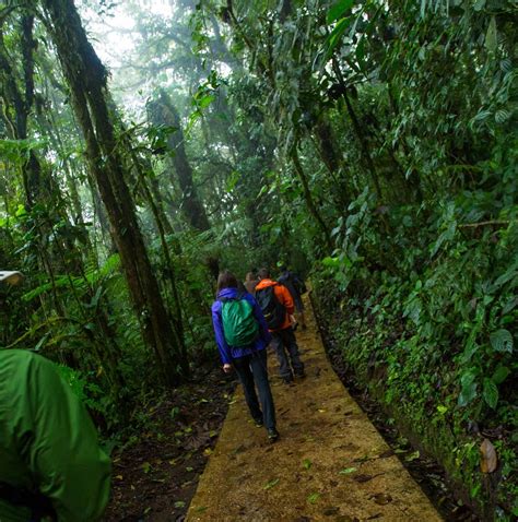 10 Best Wildlife Tours & Holidays in Costa Rica 2024/2025 - Best Deals ...