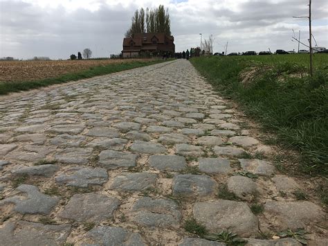 Image result for Paris-Roubaix Cobble Logo