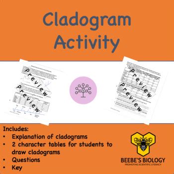 Image result for Building a Cladogram Activity