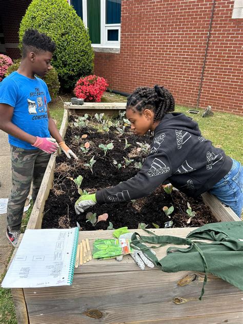 Image result for Decatur Middle School Al