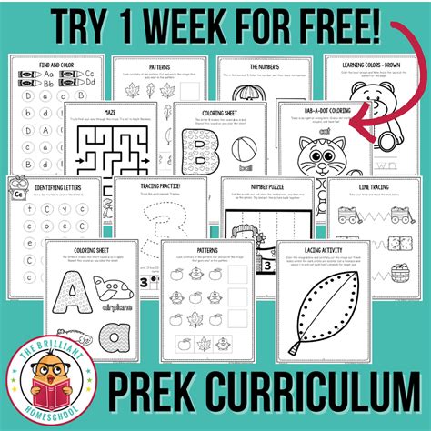 Free preschool curriculum for homeschool prek (2024) - The Primary ...