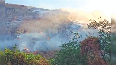 Coimbatore forest fire brought under control