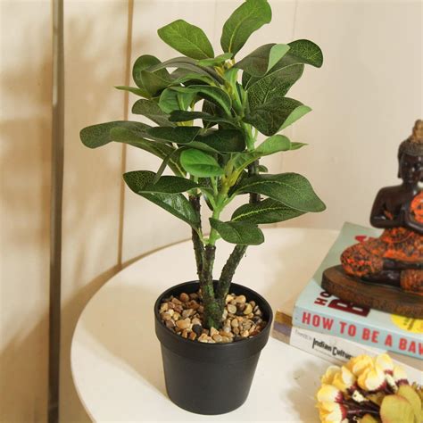 Buy TIED RIBBONS Artificial Quercus Plant with Pot Stand (1 Feet ...