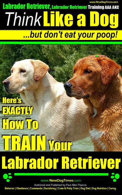 Labrador Retriever, Labrador Retriever Training AAA AKC: |Think Like a ...