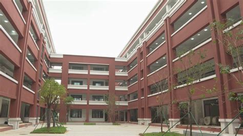 学校地址： 江门市蓬江区棠下镇大道(上湾浪)即棠下医院斜对面 学校特色： 小班教学 学校电话： 0750-3856300