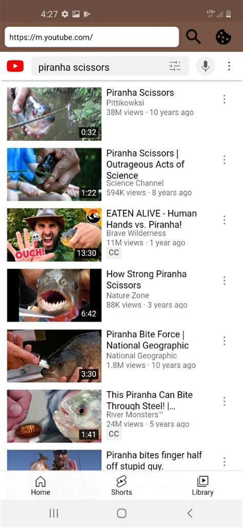 Sketchub • Cookie Browser