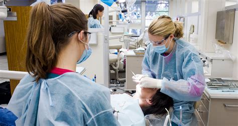Pre-Dentistry, Pre-Professional Program - Find Your Degree