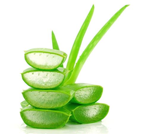 10 Amazing Home Remedies for Itchy Scalp