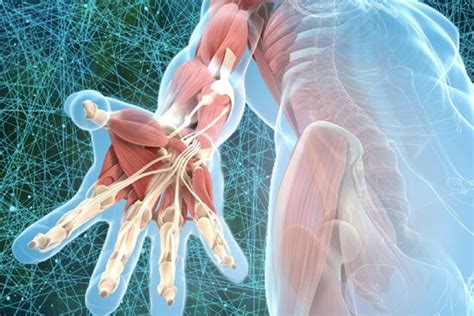 Image result for Strong Deep Tissue