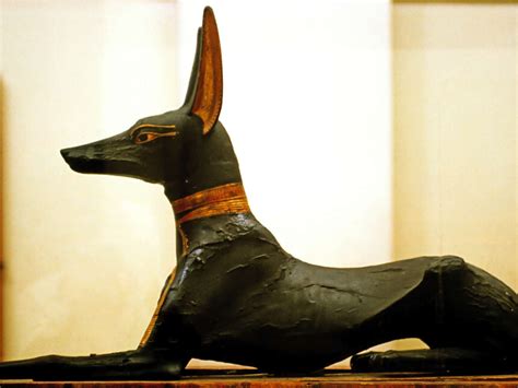 Tutankhamon. 100 anni di misteri | Meer