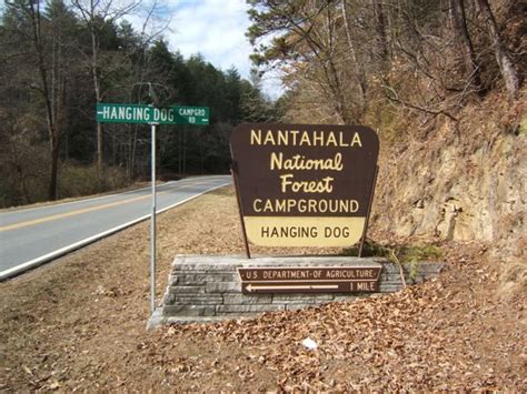 Hanging Dog Campground NC: Dog-Friendly Camping in the Carolinas
