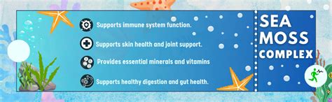 Buy Zespo Sea Moss 3 in 1, 650MG - Blend of Irish Sea Moss ...