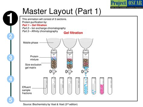 Image result for Protein Separation Process