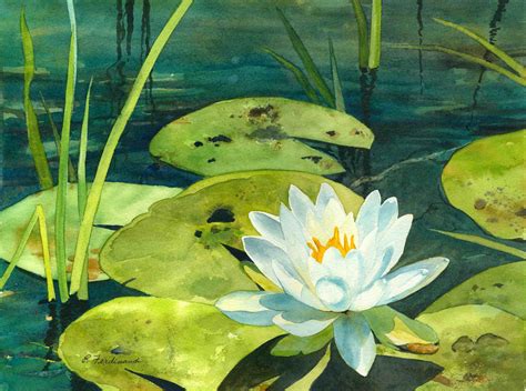 Pin by Connie Bird on ART: My Watercolour Paintings | Water lilies painting, Flower painting ...