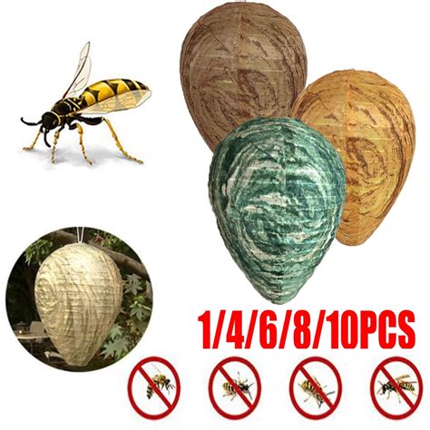 Paper Wasp Trap