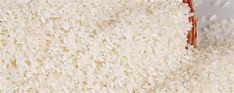 全中国最好吃的大米在哪里？认准这5个产地，清甜滑润，米香四溢