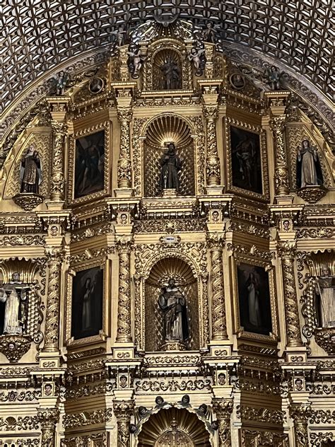 Image result for Monte Python Fish