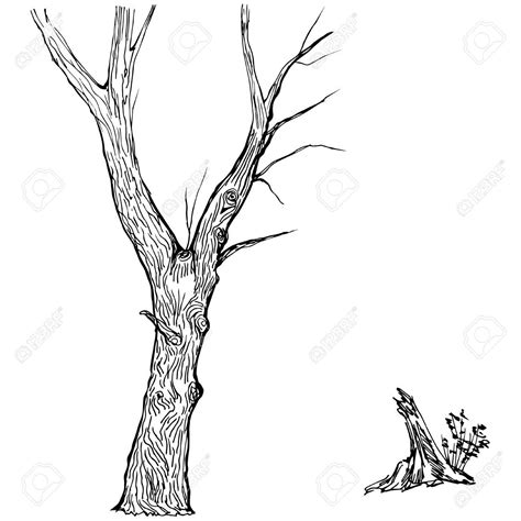 Image result for Tree Trunk Drawing