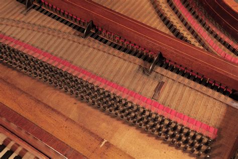 Image result for Forte Instrument