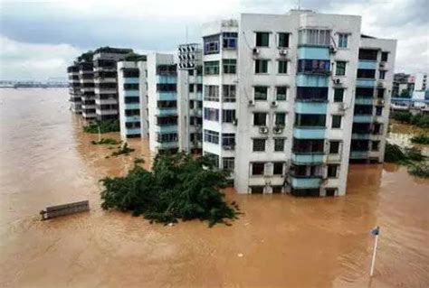 20多年前柳州那场洪水，你还记得吗？_水位