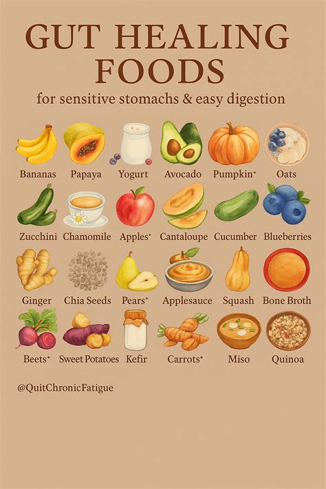 Gut Healing foods in 2025 | Gut healing recipes, Healing food, Gut health recipes
