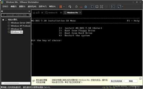 WindowsME Virtual Machine 的图像结果