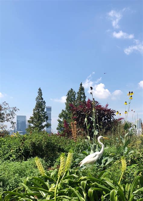 Find Your Adventure - New NYS Birding Trail Locations, trails, and more ...