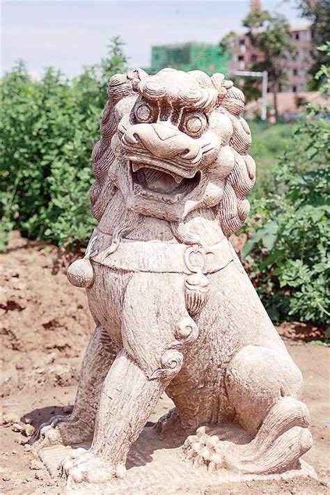 为什么中国的石狮子不按真狮子雕塑？_酷知经验网