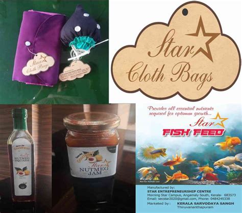 Morning Star Home Science College, Angamaly