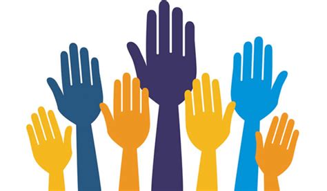 La organización solidaria ¿una empresa participativa y democrática ...