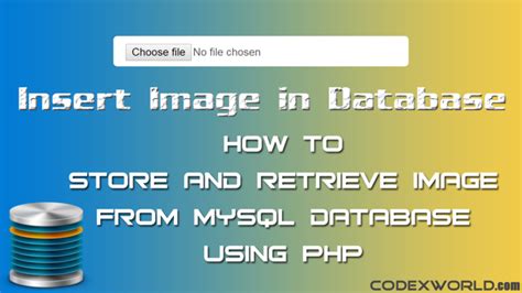 How to Retrieve Image From MySQL Database to Image View in Android 的图像结果